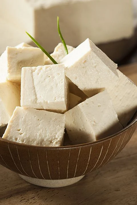 Homemade paneer. 3