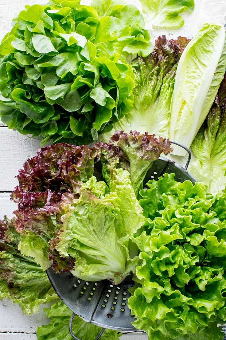 Leafy vegetables