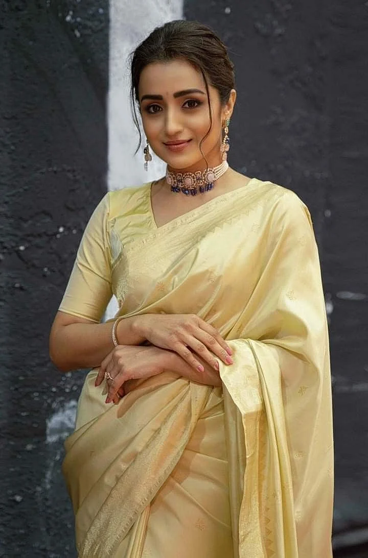 Trisha Krishnan 8