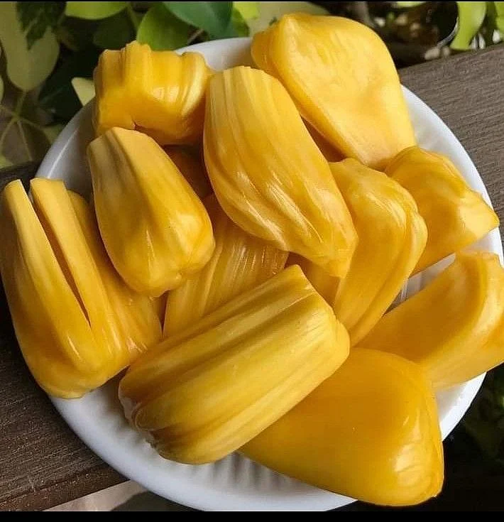 Jackfruit Seeds. 8