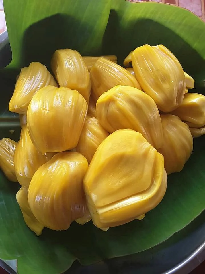 Jackfruit. 3