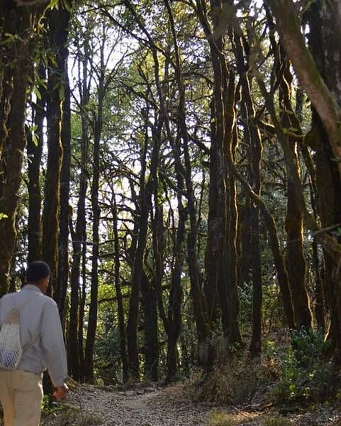Binsar Wildlife Sanctuary