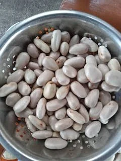 Jackfruit Seeds. 2