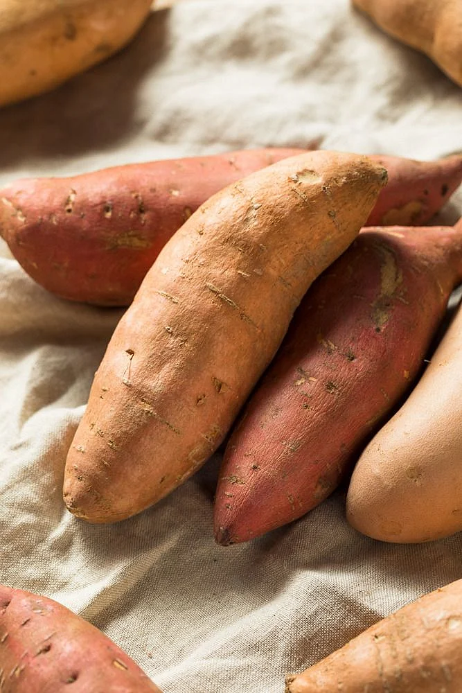 Sweet Potato. 7