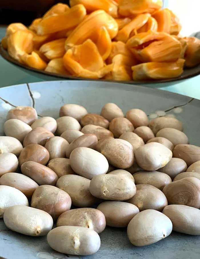 Jackfruit Seeds. 3