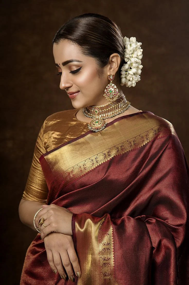 Trisha Krishnan 6