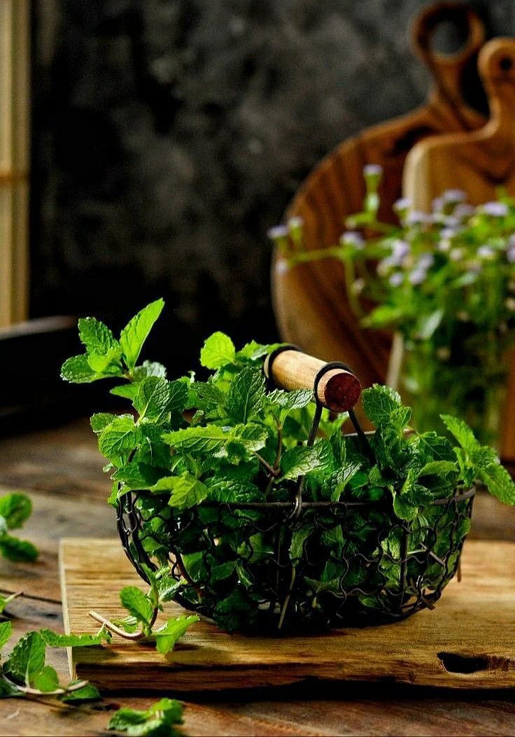 Mint leaves. 1
