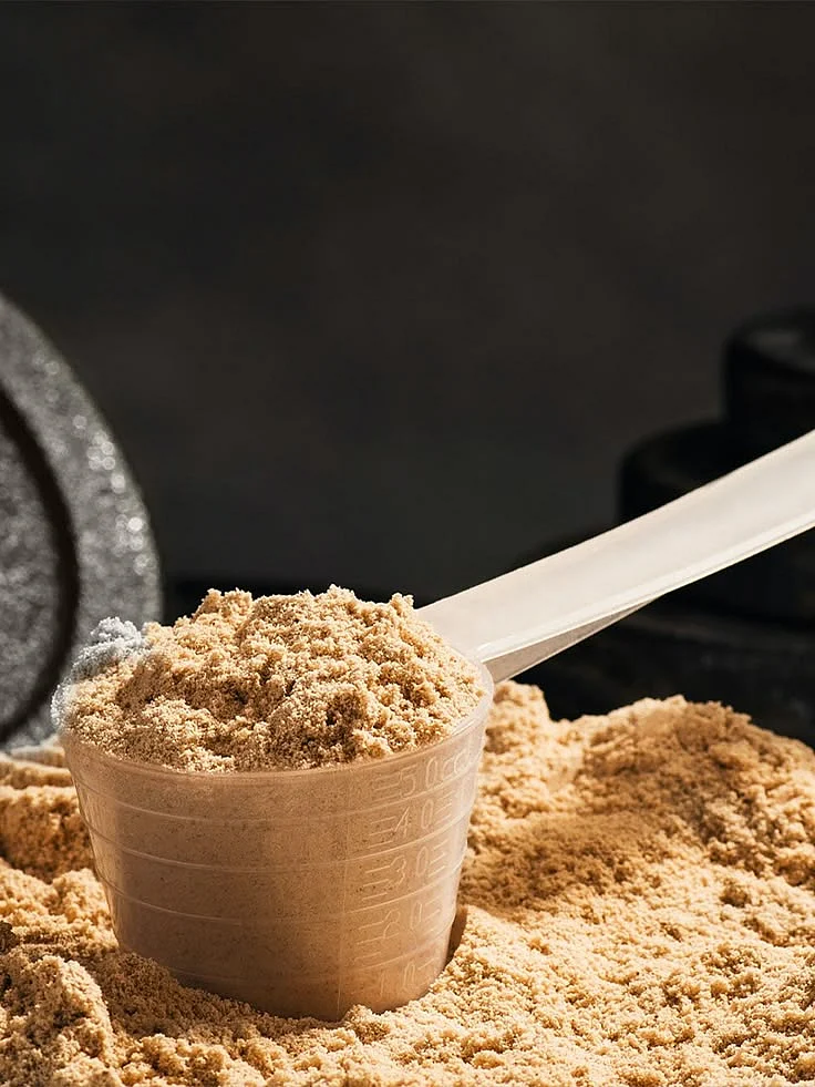 Protein powder
