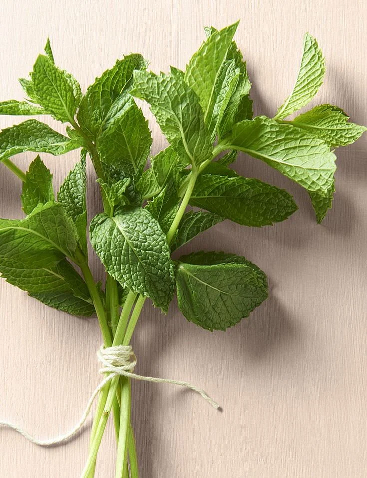 Mint leaves. 7