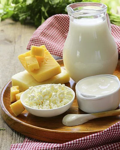 dairy products
