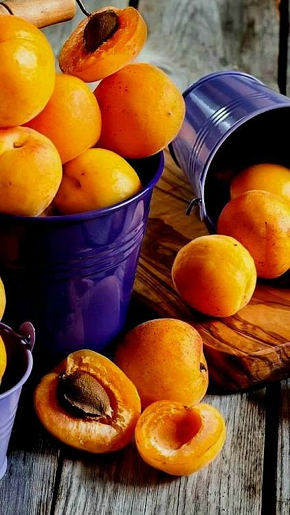Apricot.8