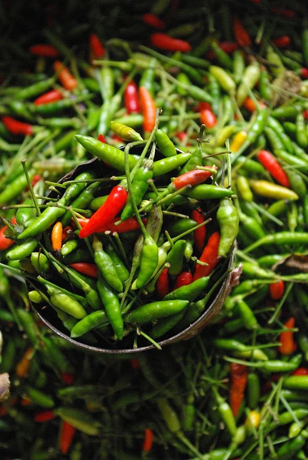 Green chilly. 7