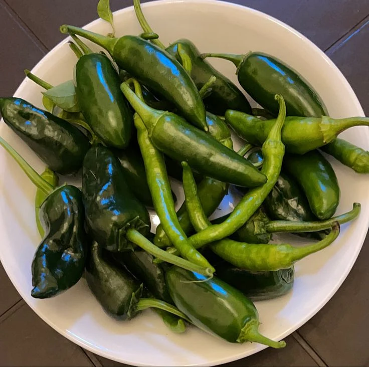Green chilly. 5