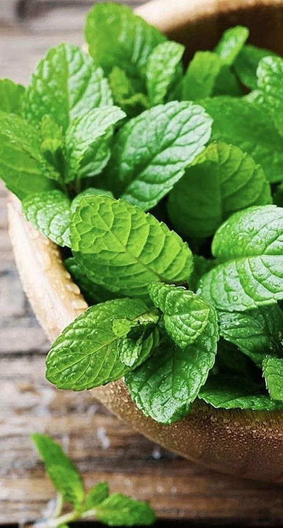 Mint leaves. 4