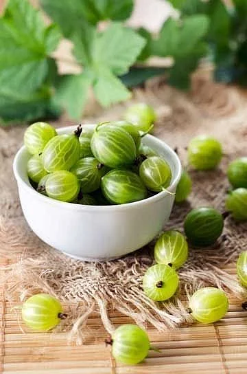 gooseberry. 3