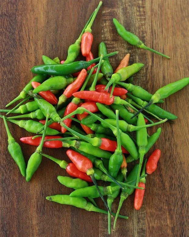 Green chilly. 8