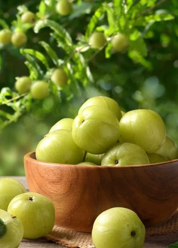 gooseberry. 5