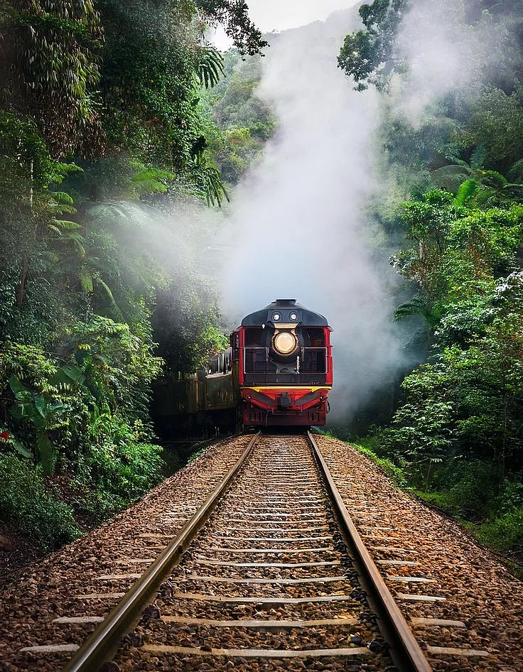 train. 1