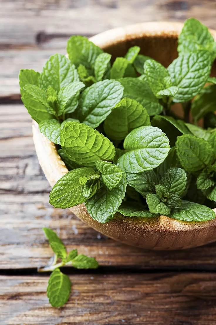 Mint Leaves