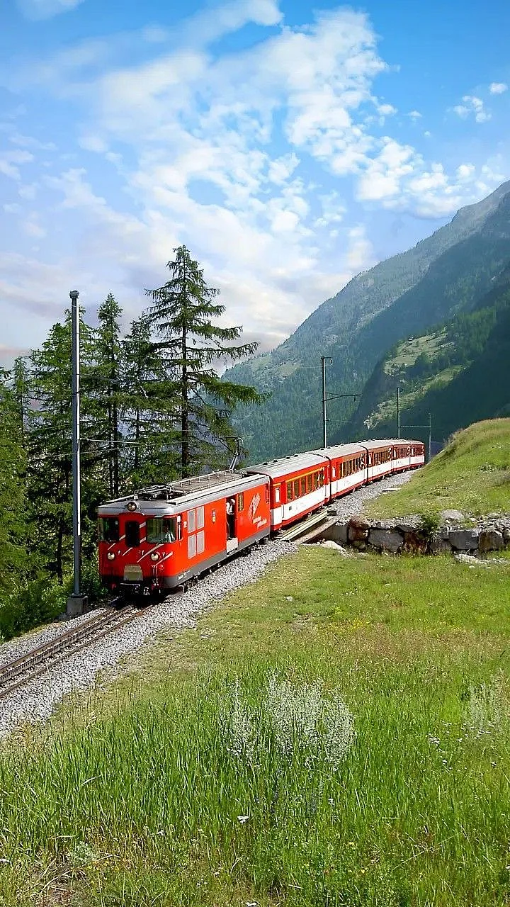 train. 6