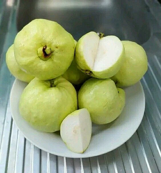 Guava 4