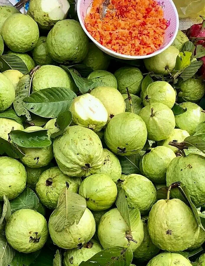 Guava 5