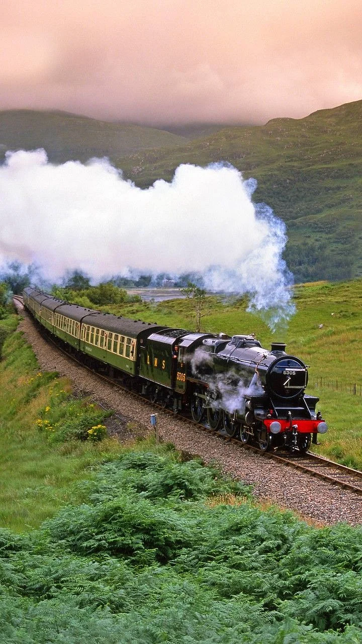 train. 5