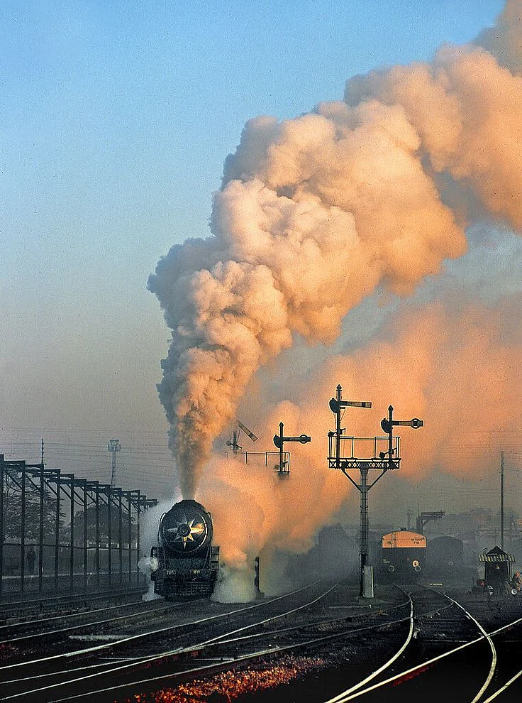 train. 4