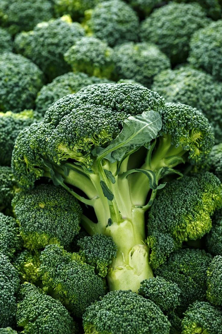 Broccoli. 1