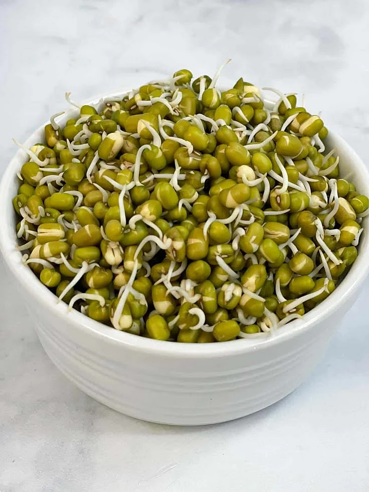 Sprouted Moong
