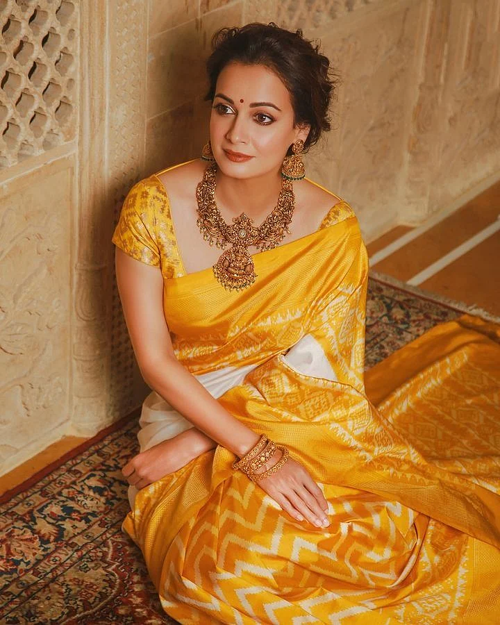 Dia Mirza 6
