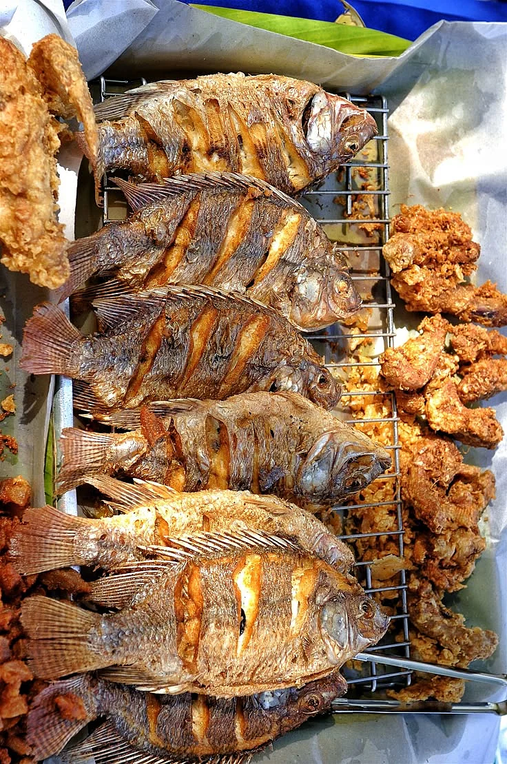 Fish 3