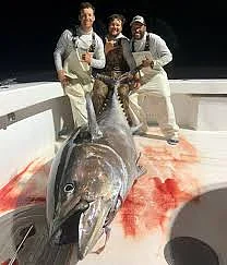 Bluefin Tuna 5