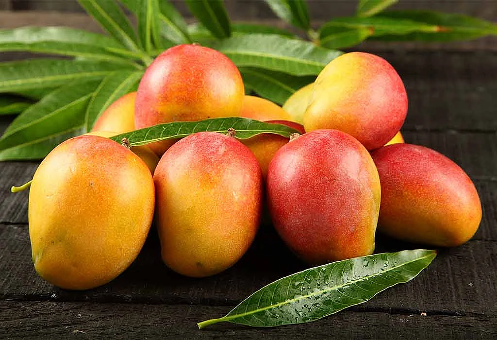 Essay on Mango in Hindi