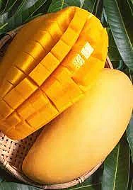 images 2025 05 10T131244.760