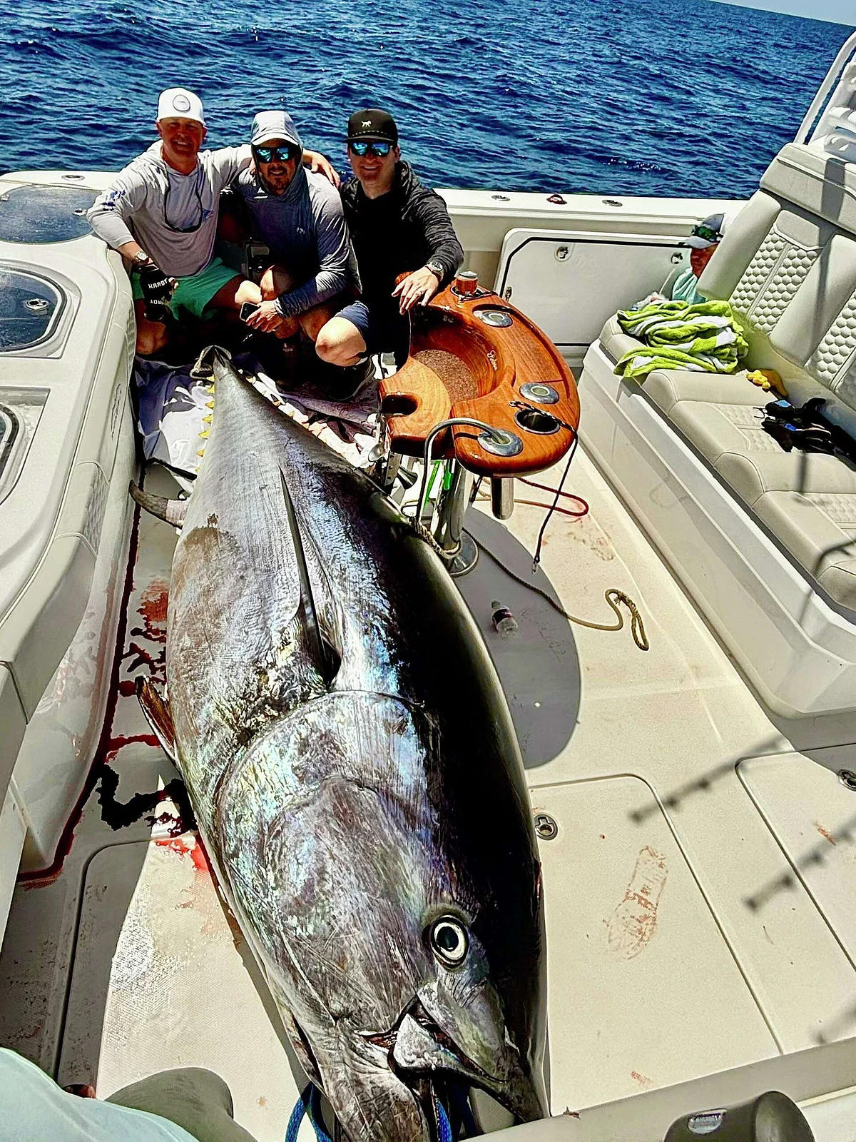 Bluefish Tuna 1