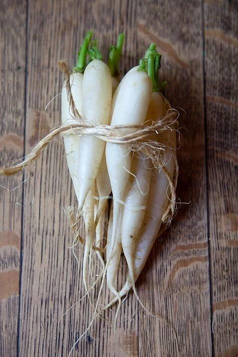 Radish. 6