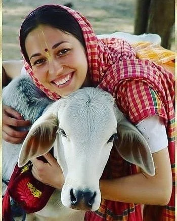cow. 9
