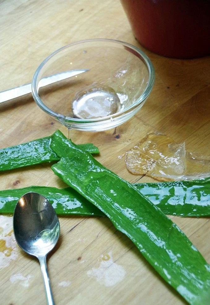 Aloevera gel 5