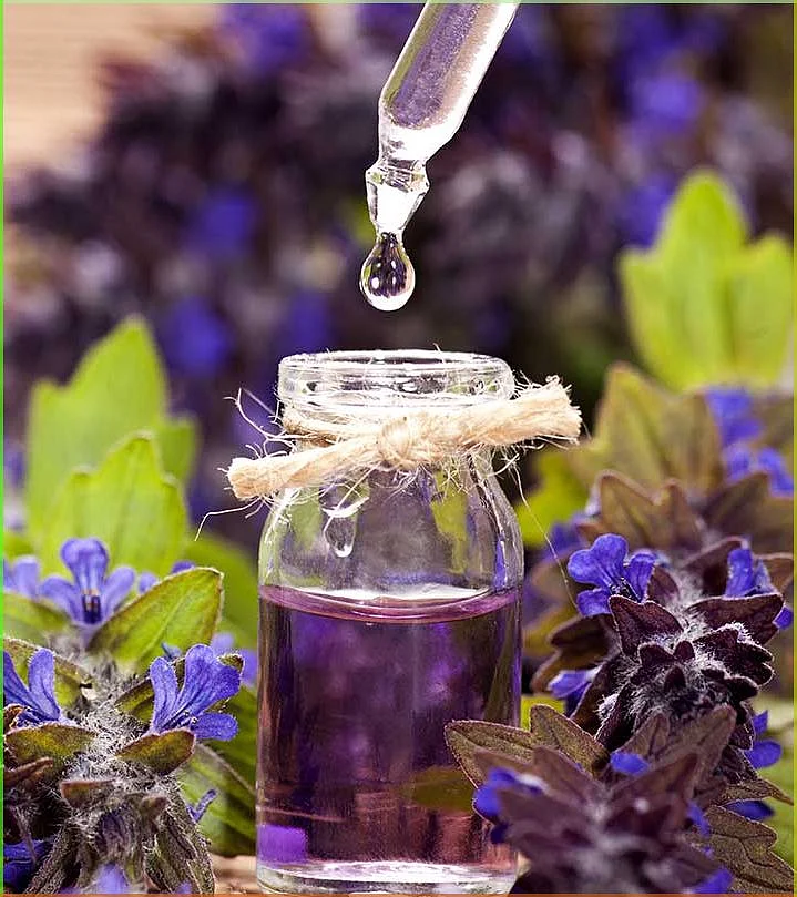 Lavender oil. 5