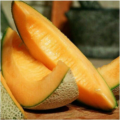 Muskmelon 7