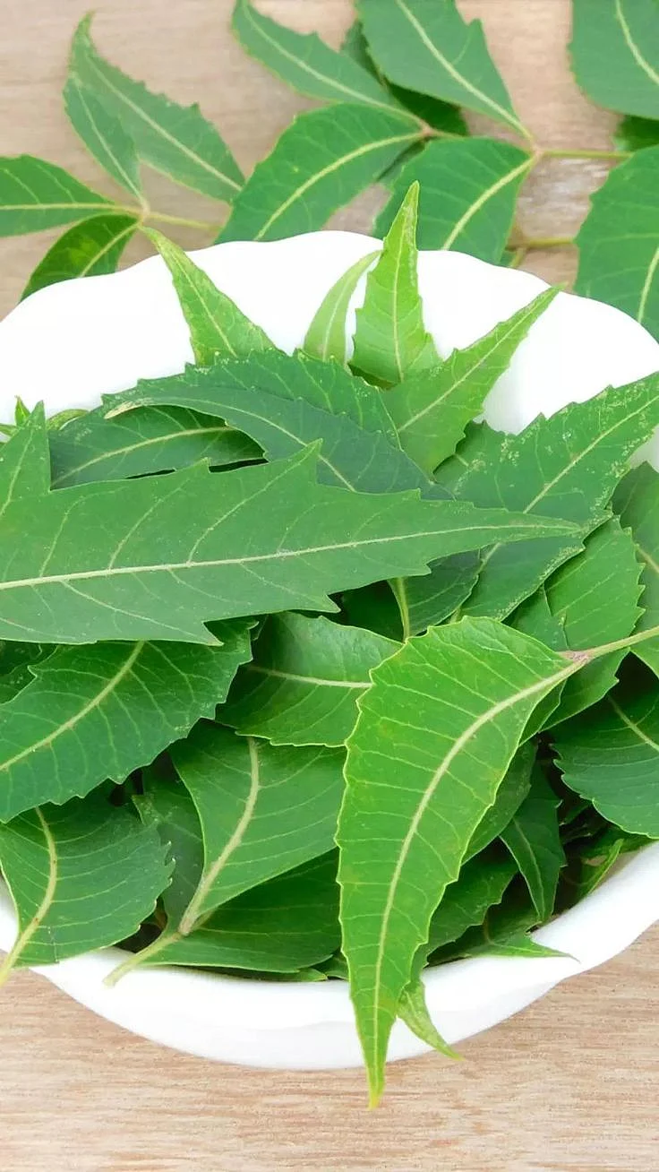 neem juice. 3
