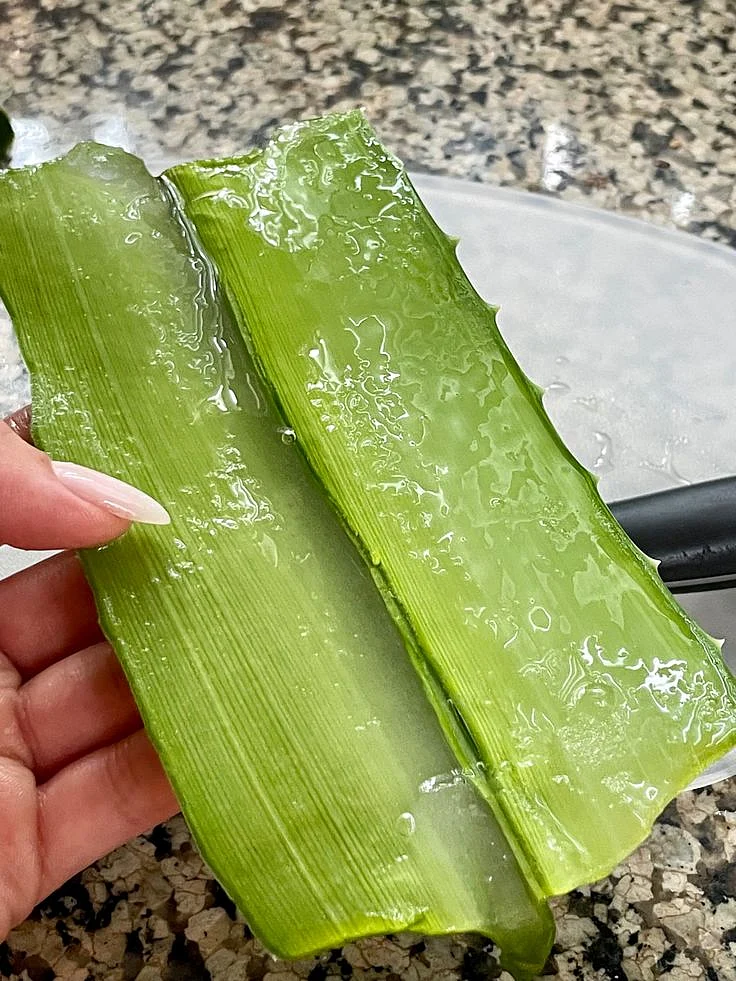 Aloevera gel 1