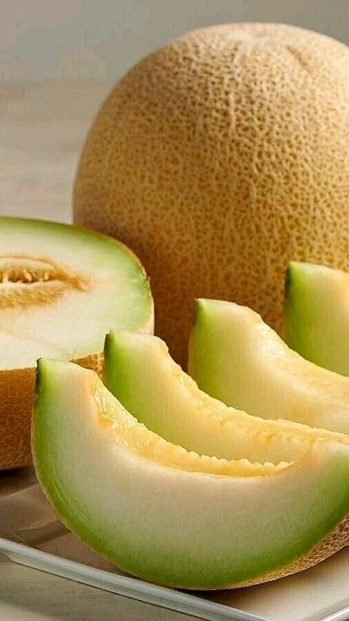 Muskmelon 1