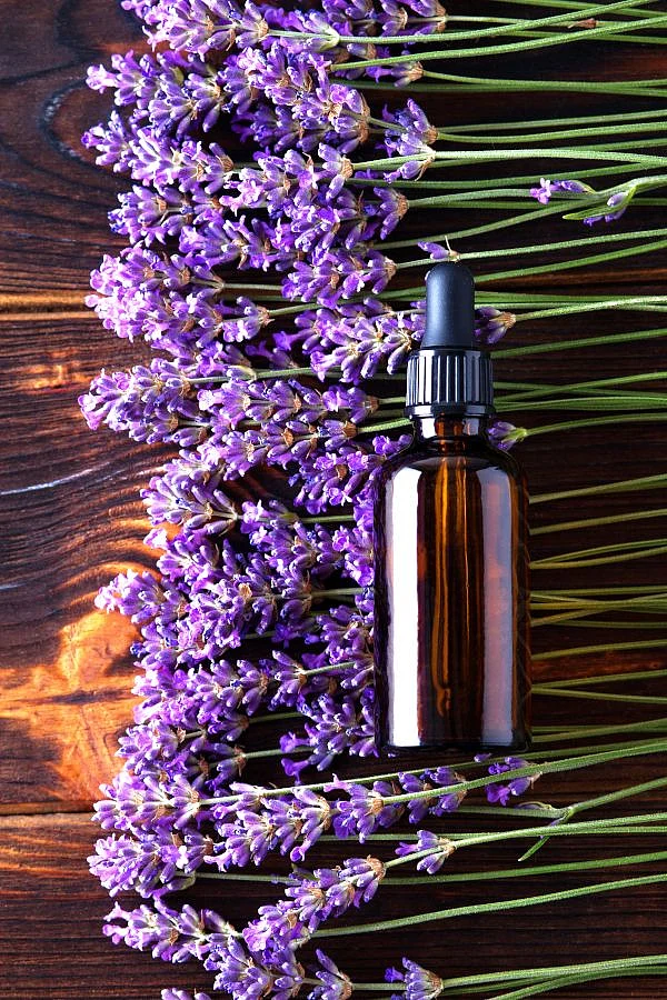 Lavender oil