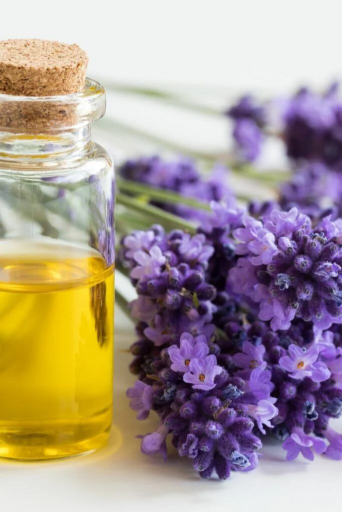 Lavender oil. 6