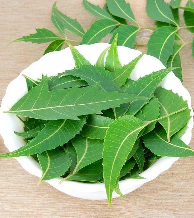 neem juice. 4