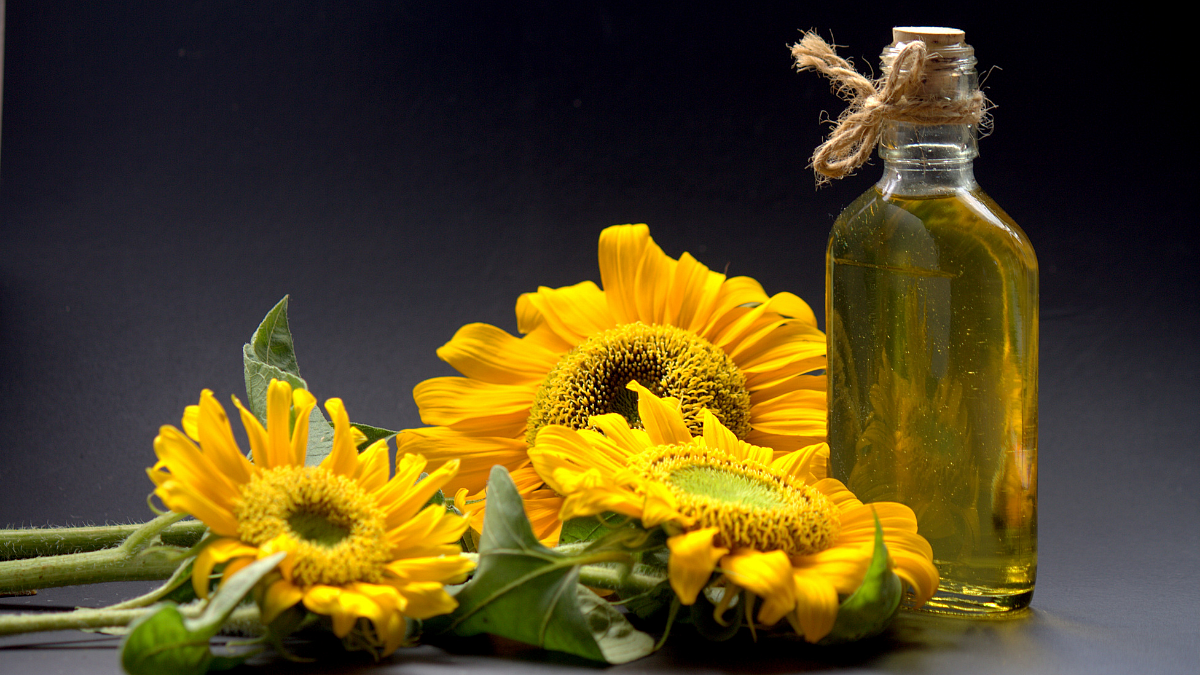 sunflower oil applications and consumptions