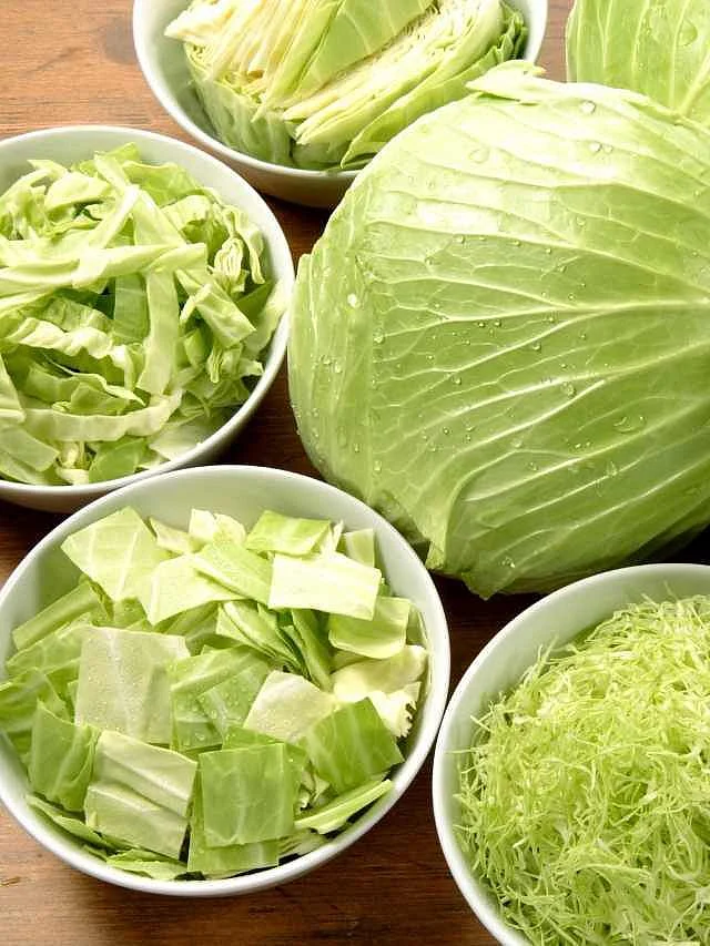 Cabbage. 5