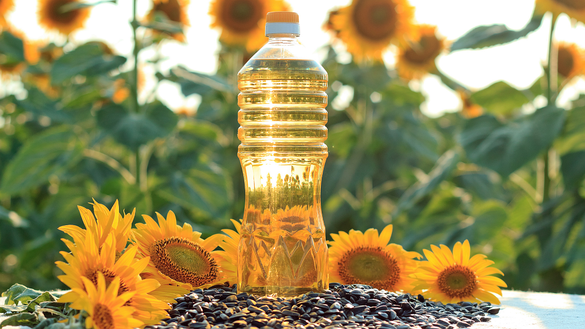 sunflower oil properties and manufacture 1
